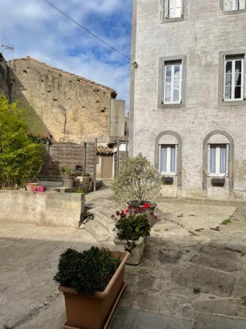 Le Patio Cathare Apartment Carcassonne Exterior photo